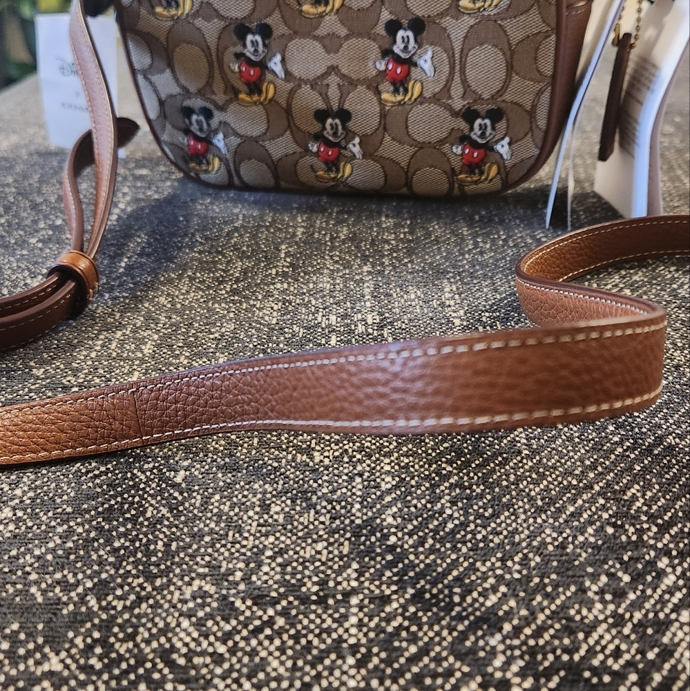 Coach Disney Limited Edition Mini JMIE